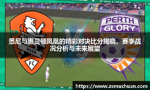 悉尼与惠灵顿凤凰的精彩对决比分揭晓，赛季战况分析与未来展望