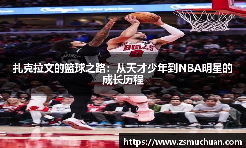 jbo竞博.体育官方网站